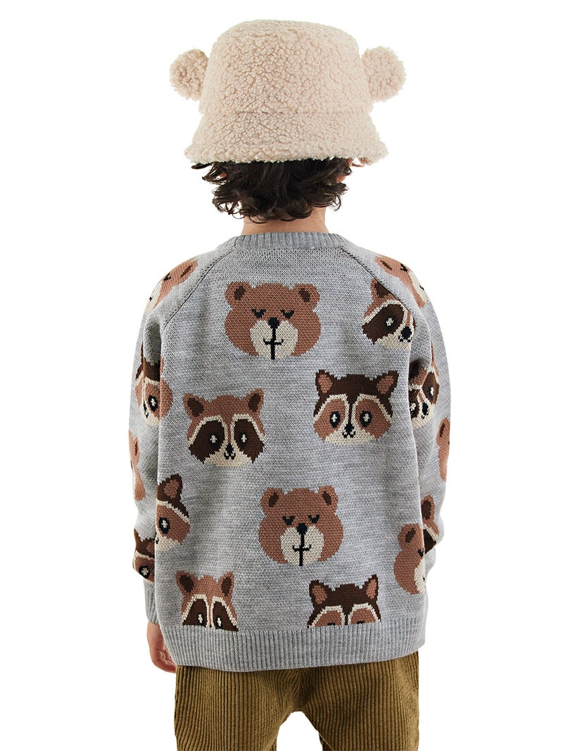 Denokids Bear&Raccoon Boy Knit Jumper - Image 2